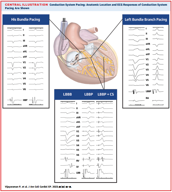 1709802290437800.png 图片3.png